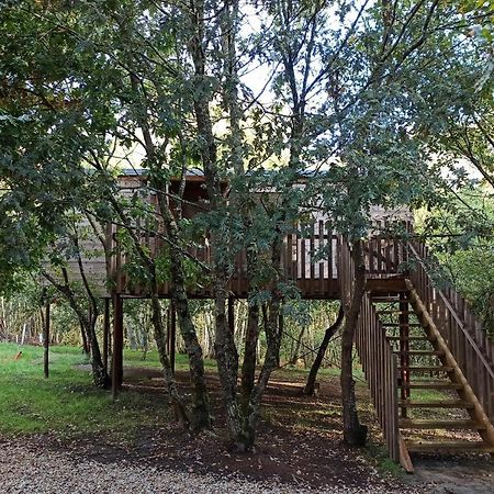 Cabanas Das Chousas Lugo Ngoại thất bức ảnh